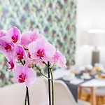 Bed & Breakfast Sweet Roma 315 Palermo