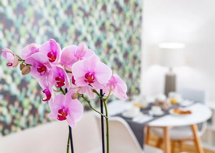 فندق مبيت وإفطار Sweet Roma 315 باليرمو